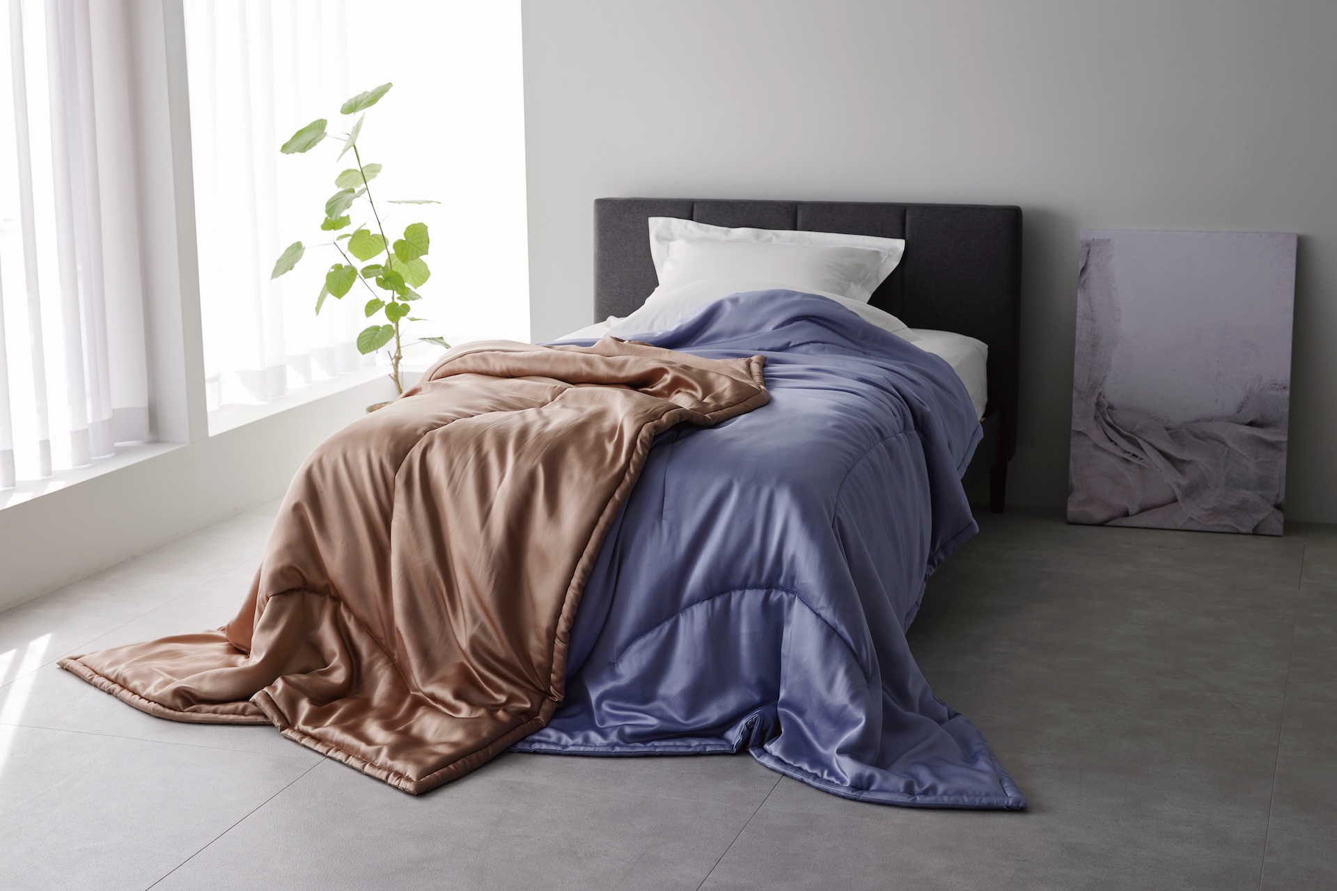 西川プレミアム　真わた掛けふとんの画像