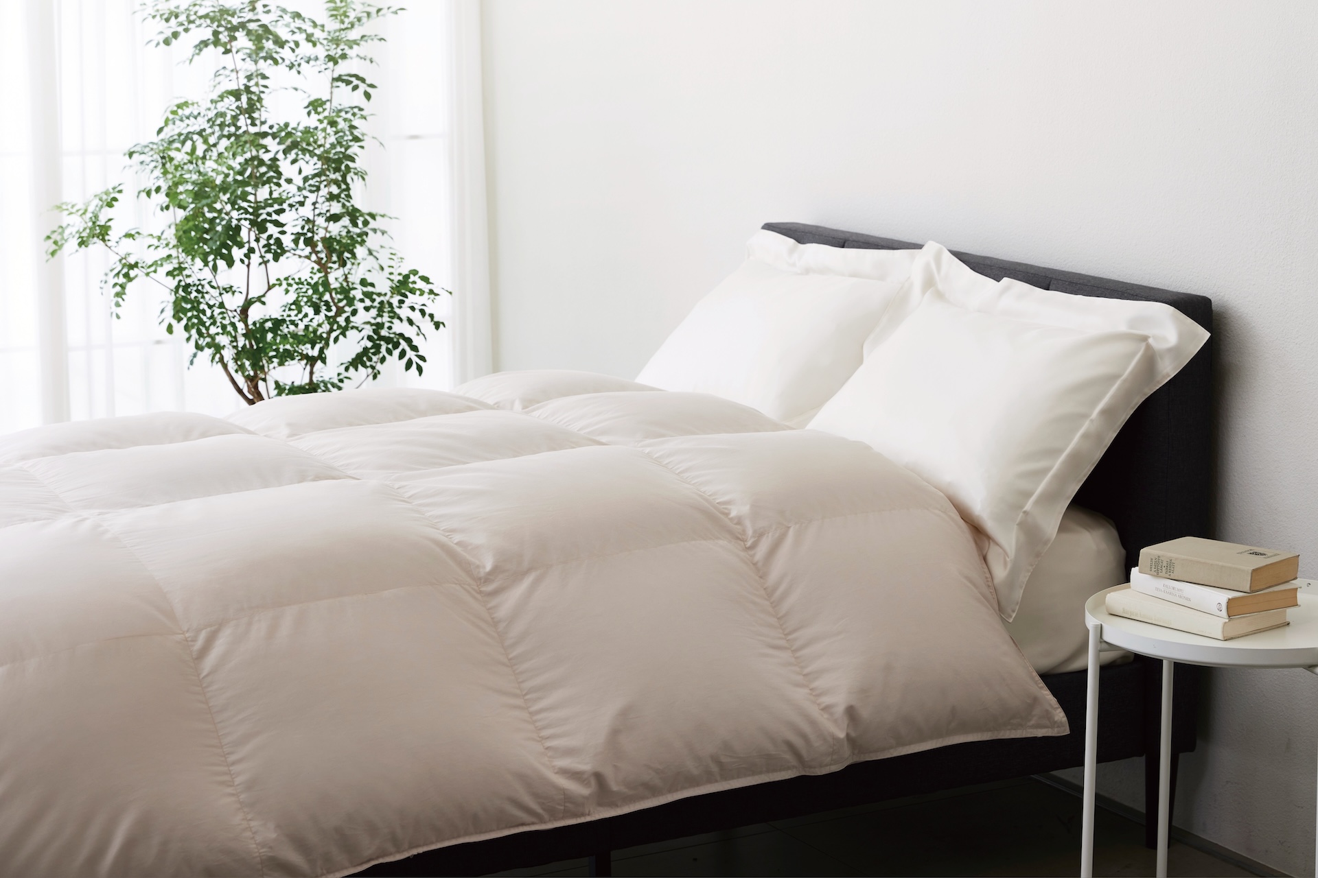 西川プレミアム 羽毛掛けふとんの画像