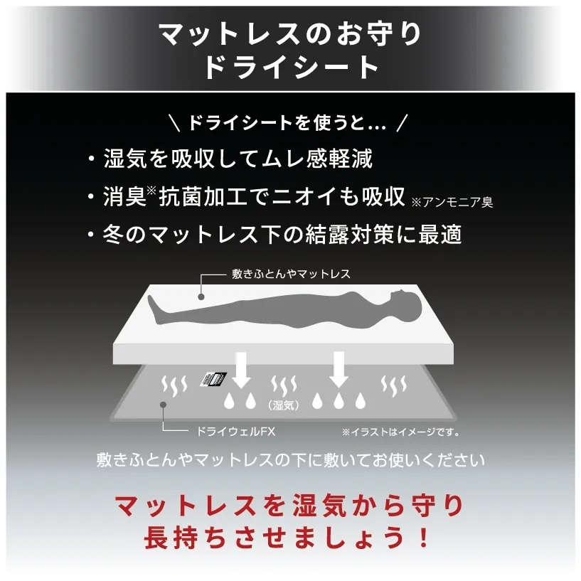 ドライウエルFX（洗える除湿シート）の画像