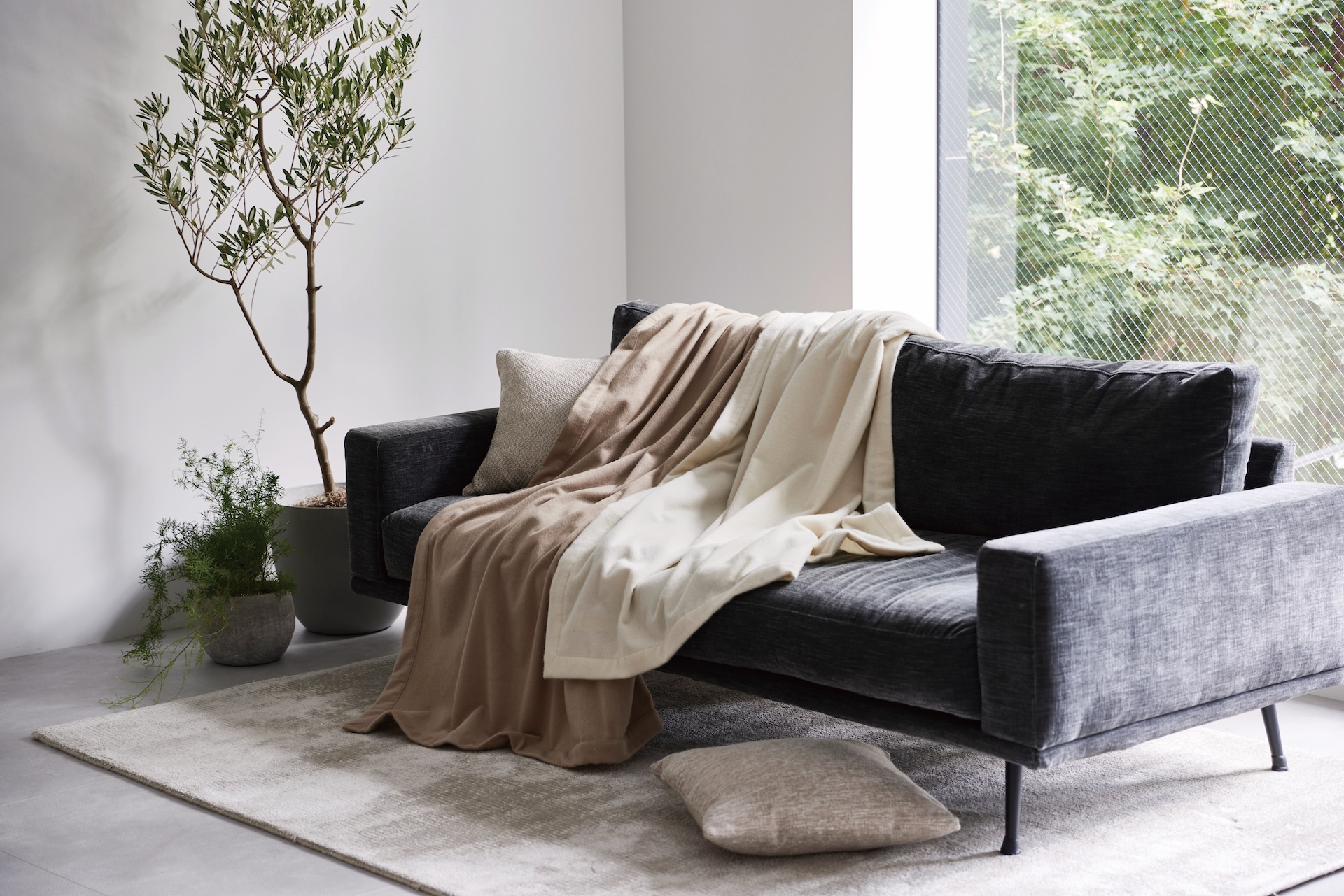 西川プレミアム　カシミヤ毛布の画像