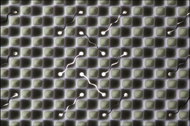 [&FREE KG.R］マットレス/REGULARの画像