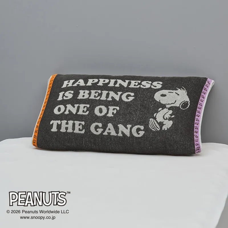 ピーナッツ(スヌーピー) のびのびタオルピローケースの画像
