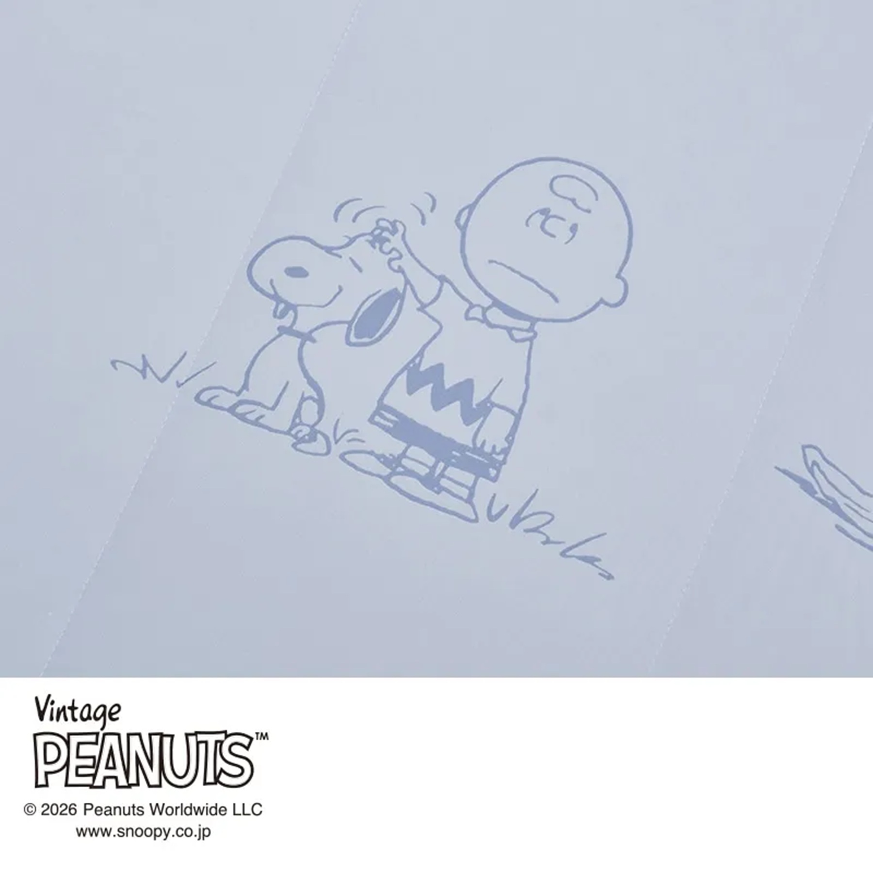 ピーナッツ（スヌーピー）　キルトケットの画像