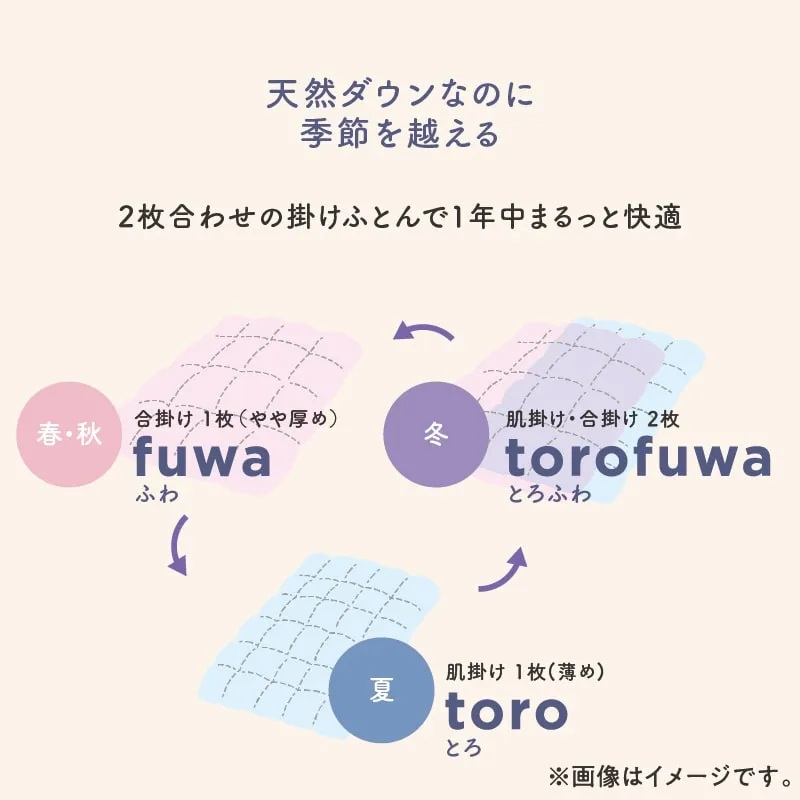 torofuwa通年使い 羽毛掛ふとんの画像